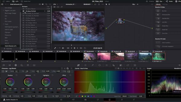 Кадр видео после цветокоррекции LUT для инфракрасный вариант 6