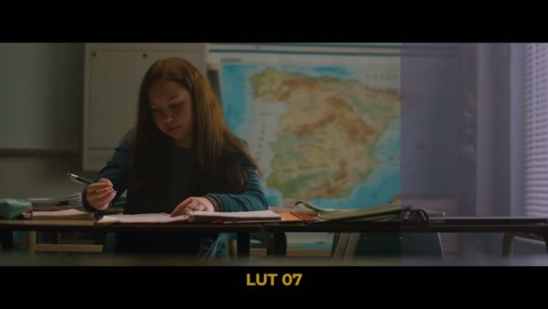 Кадр видео после цветокоррекции LUT для плёнка вариант 3