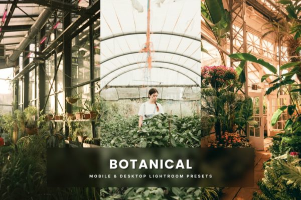 Обложка набора пресетов Botanical для Lightroom