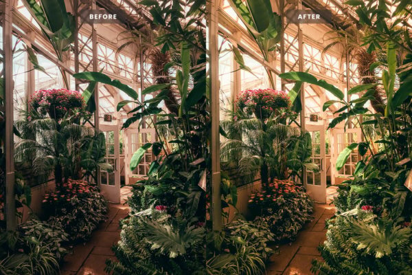 Пример обработки фото пресетом Botanical в Lightroom, кадр 1
