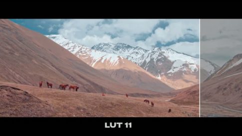 Кадр видео после цветокоррекции LUT для c-log3 вариант 6