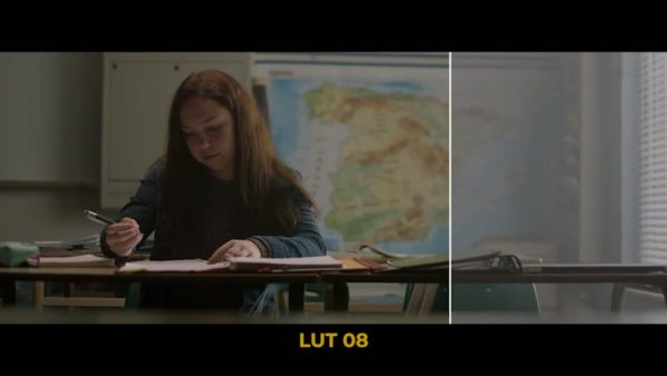 Кадр видео после цветокоррекции LUT для c-log3 вариант 3