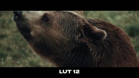 Кадр видео после цветокоррекции LUT для c-log3 вариант 3