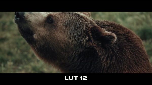Кадр видео после цветокоррекции LUT для c-log3 вариант 3