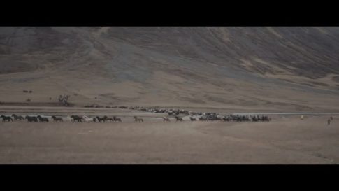 Постер набора C-Log3 LUT для дикой природы видео Wildlife Film
