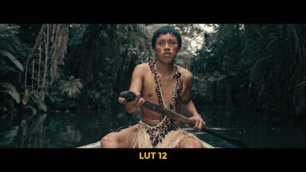 Кадр видео после цветокоррекции LUT для c-log3 вариант 7