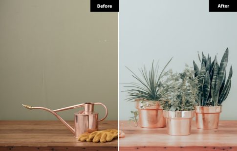 Пример обработки фото пресетом Clean & Airy в Lightroom, кадр 5