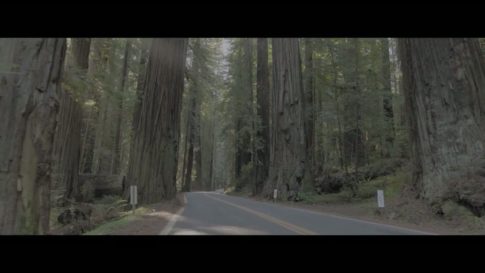 Пример работы LUT из набора D-Log LUT для дрона и кино Cinema Drone Film