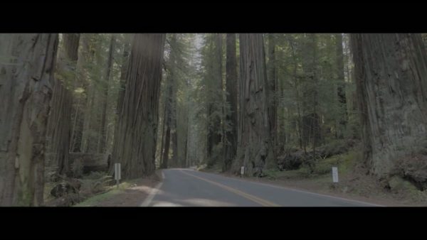Пример работы LUT из набора D-Log LUT для дрона и кино Cinema Drone Film