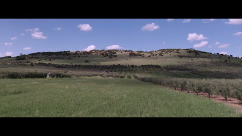 Постер набора Дроновые film-look LUT для видео Drone Film Look