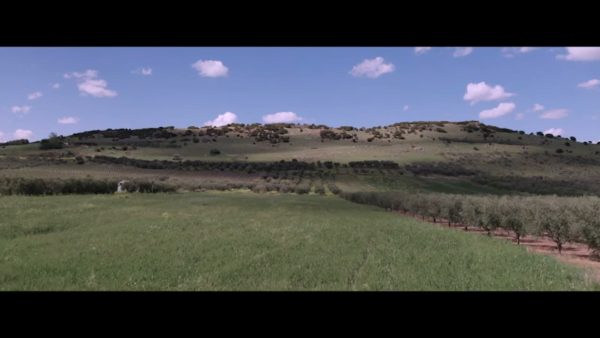 Постер набора Дроновые film-look LUT для видео Drone Film Look