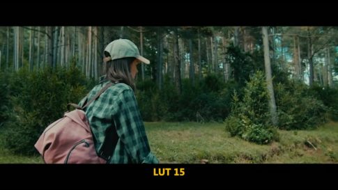 Кадр видео после цветокоррекции LUT для приключения вариант 8
