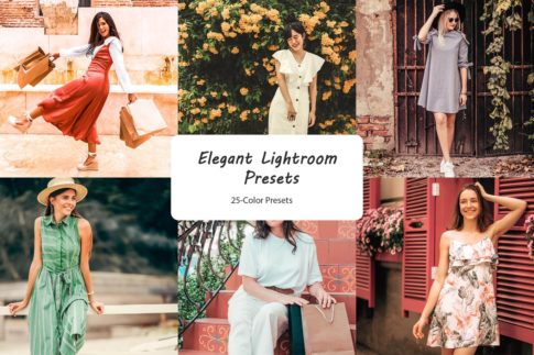 Обложка набора пресетов Elegant для Lightroom