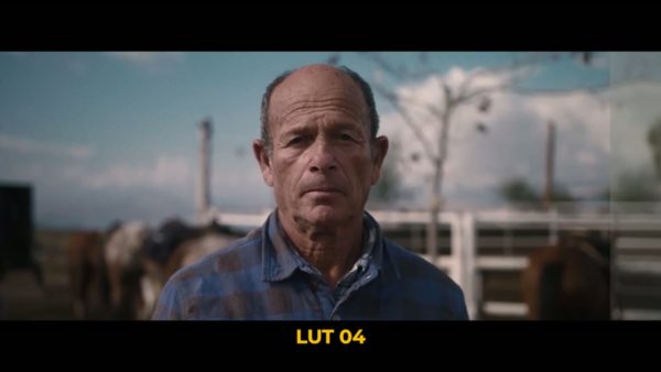 Кадр видео после цветокоррекции LUT для плёнка вариант 7