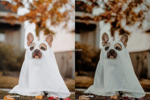 Пример обработки фото пресетом Halloween в Lightroom, кадр 3