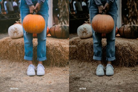 Пример обработки фото пресетом Halloween в Lightroom, кадр 5