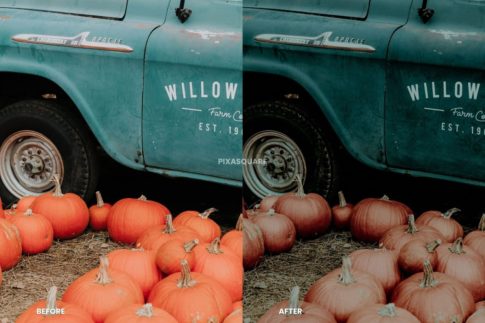 Пример обработки фото пресетом Halloween в Lightroom, кадр 6