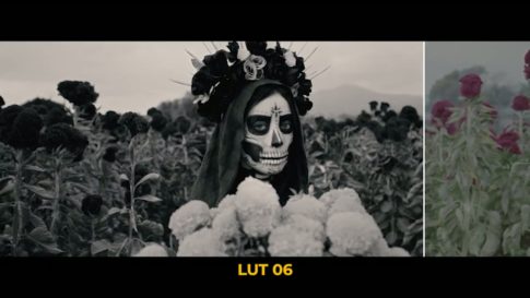 Кадр видео после цветокоррекции LUT для плёнка вариант 7