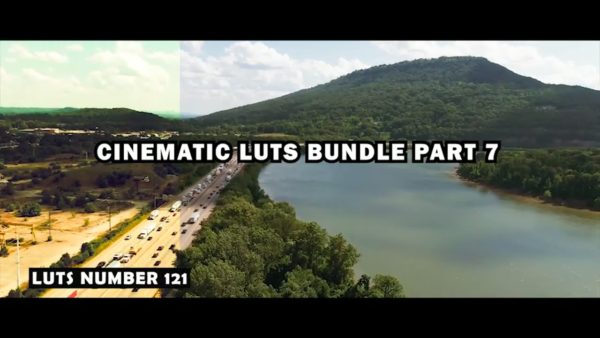 Постер набора Кино-LUT для фильммейкеров видео Filmmaker Collection