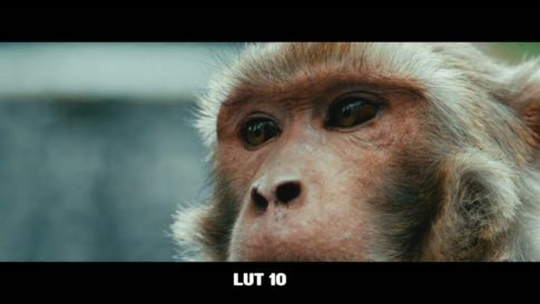 Кадр видео после цветокоррекции LUT для кино вариант 4