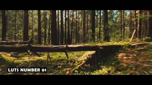 Пример работы LUT из набора Кино-LUT для природы и пейзажа Nature Landscape