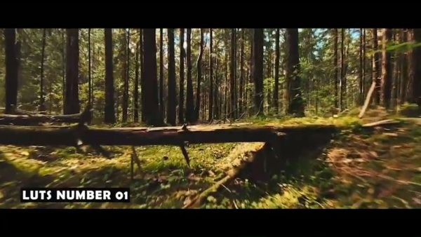 Пример работы LUT из набора Кино-LUT для природы и пейзажа Nature Landscape
