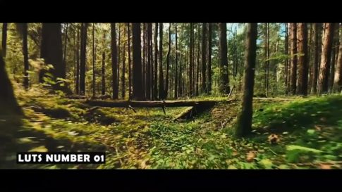 Постер набора Кино-LUT для природы и пейзажа Nature Landscape