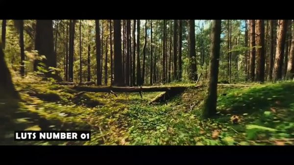 Постер набора Кино-LUT для природы и пейзажа Nature Landscape