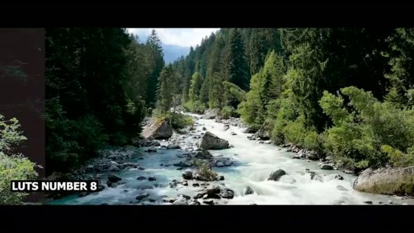 Кадр видео после цветокоррекции LUT для природа вариант 8