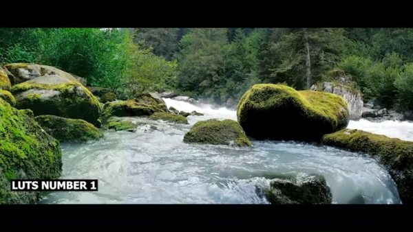 Постер набора Кино-LUT для природы и тревела Cinematic Nature