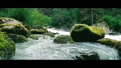 Пример работы LUT из набора Кино-LUT для природы и тревела видео Nature Travel