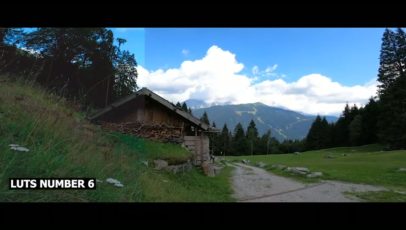 Кадр видео после цветокоррекции LUT для природа вариант 6