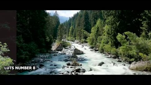 Кадр видео после цветокоррекции LUT для природа вариант 8