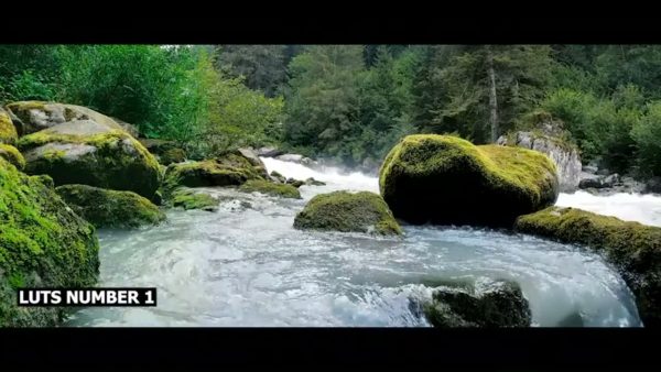 Постер набора Кино-LUT для природы и тревела видео Nature Travel