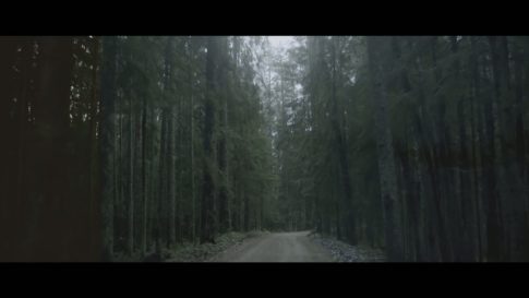 Постер набора Кино-LUT для съёмки природы Cinematic Nature Film