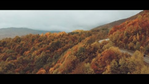Кадр видео после цветокоррекции LUT для кино вариант 8