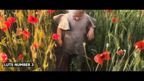 Кадр видео после цветокоррекции LUT для золотой час вариант 2