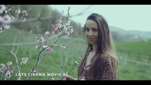 Пример работы LUT из набора Киношные LUT для фильмов и видео Cinema Movie