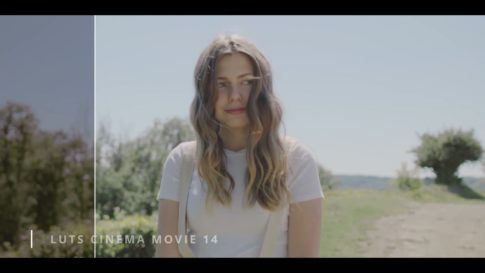 Кадр видео после цветокоррекции LUT для кино вариант 8