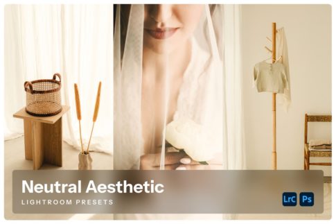 Пример обработки набором Neutral Aesthetic из коллекции интерьеры
