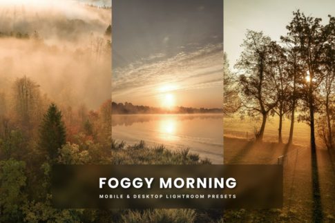 Пример обработки набором Foggy Morning из коллекции сборник стилей