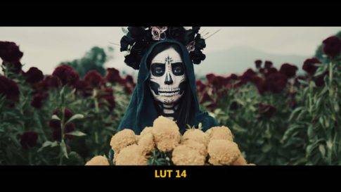 Кадр видео после цветокоррекции LUT для кино вариант 5