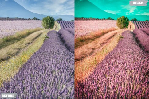 Фотография с цветокоррекцией из набора лавандовые поля пресеты