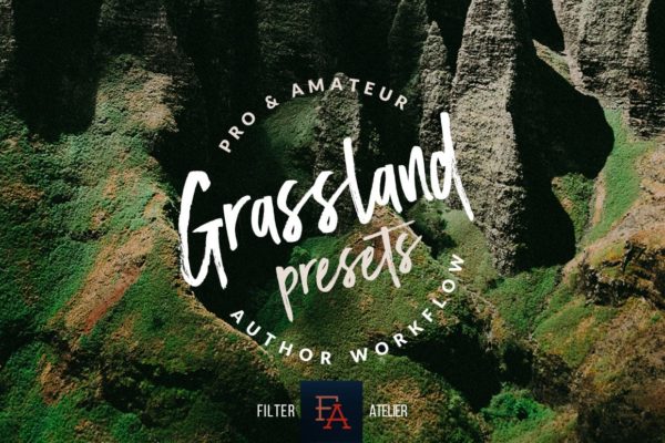 Пример обработки фото пресетом Grassland в Lightroom, кадр 6