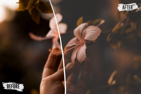 Фотография с цветокоррекцией из набора матовый портрет в тёплом тоне пресеты