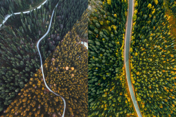 Пример обработки фото пресетом Warm Nature в Lightroom, кадр 1