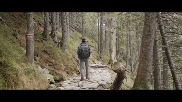 Пример работы LUT из набора Мрачные кино-LUT для природы видео Moody Nature