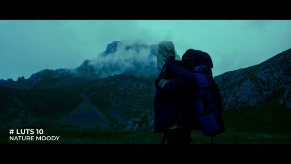 Кадр видео после цветокоррекции LUT для природа вариант 7