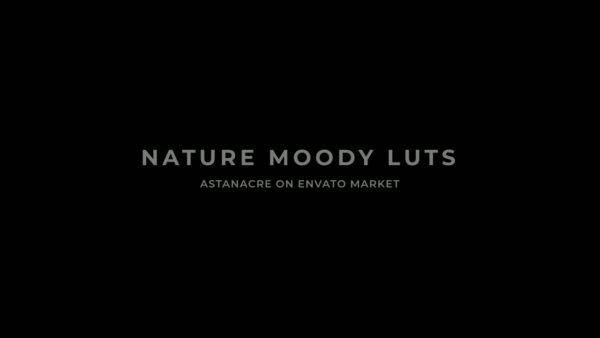 Постер набора Мрачные кино-LUT для природы видео Moody Nature