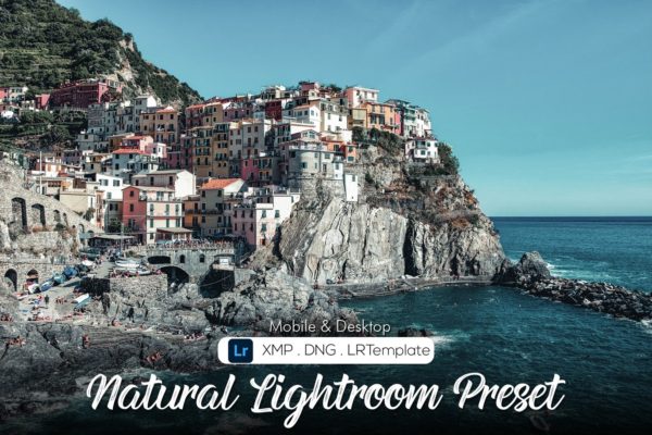 Обложка набора пресетов Natural для Lightroom